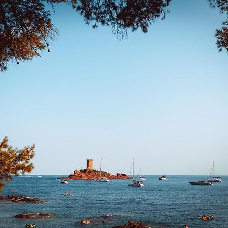 Ferienwohnung Plage A 200 Metres. Vue Mer Et Esterel ! Renove Saint-Raphaël Exterior foto